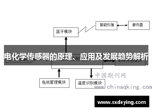 電化學傳感器的原理、應用及發展趨勢解析