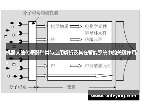 機器人的傳感器種類與應用解析及其在智能系統中的關鍵作用